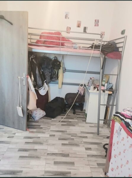 Colentina, Baicului, Lidl, Stolnicul Vasile, semistradal