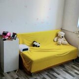 Colentina, Baicului, Lidl, Stolnicul Vasile, semistradal